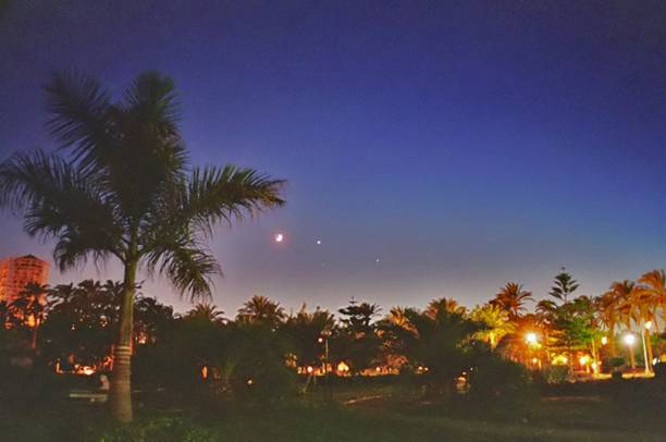 Planets and Palm Trees - by: Aymen Ibrahem (Canon Camera, Kodak Ultra 400 film, 1 second exposure)